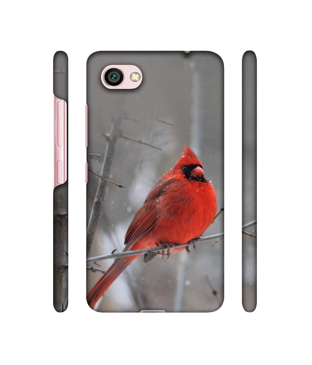 Amazon Brand - Solimo Designer Red Engry Bird 3D Printed Hard Back Case Mobile Cover for Xiaomi Redmi Y1 Lite