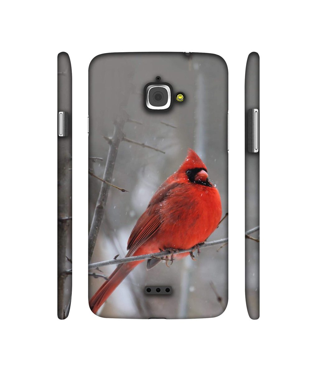 Amazon Brand - Solimo Designer Red Engry Bird 3D Printed Hard Back Case Mobile Cover for InFocus M350