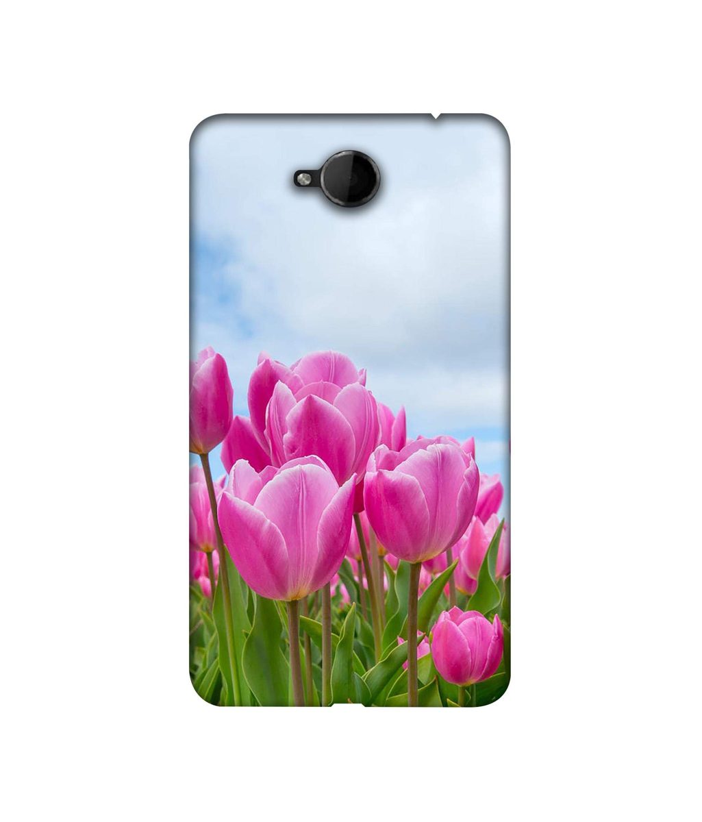 Amazon Brand - Solimo Designer Pink Lily 3D Printed Hard Back Case Mobile Cover for Microsoft Lumia 650