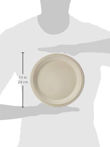 AmazonBasics Compostable Plate, Kraft, 9-Inches, Pack of 125