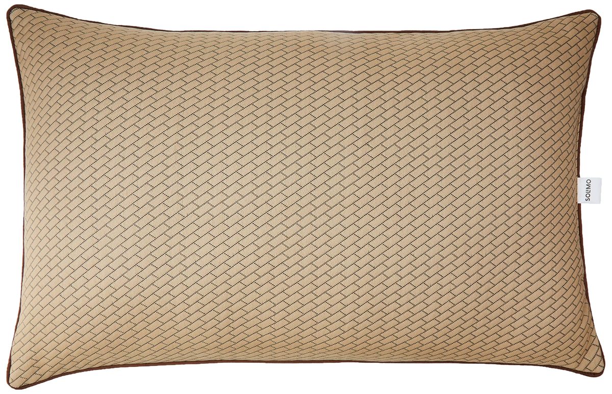 Amazon Brand - Solimo Premium Bed Pillow