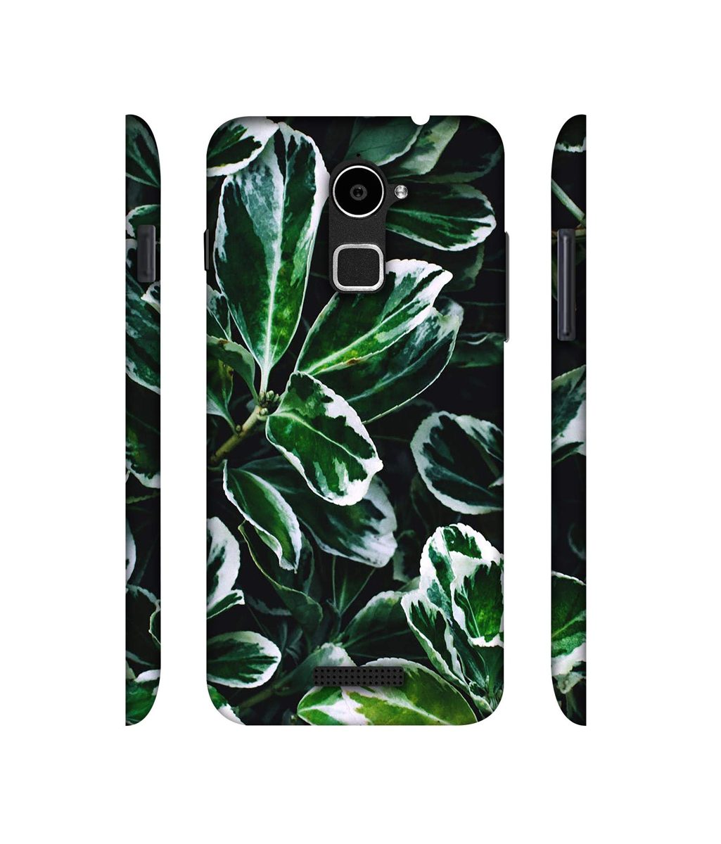 Amazon Brand - Solimo Designer Leaf Imperation 3D Printed Hard Back Case Mobile Cover for Coolpad Note 3 Lite