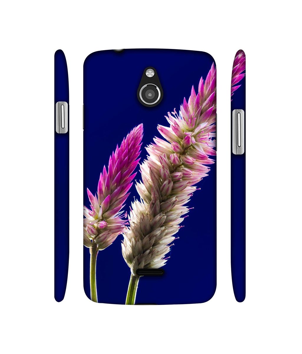 Amazon Brand - Solimo Designer Wheat Flower 3D Printed Hard Back Case Mobile Cover for InFocus M2