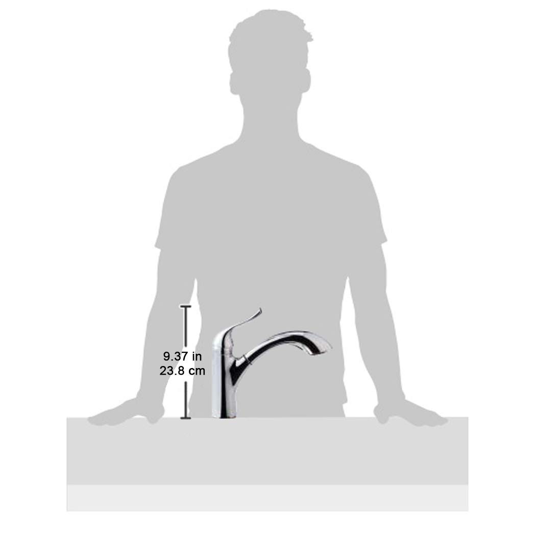 AmazonBasics Single-Handle Kitchen Pull Out Sprayer Faucet, Arched