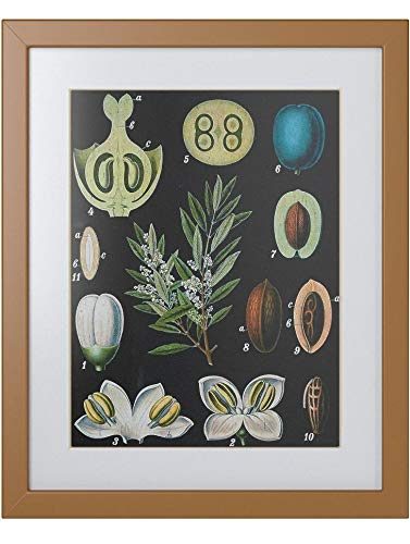 Urban Living PTM Images 1-29738 Collection Framed and matted giclee Print on Paper Under Glass Wall Art