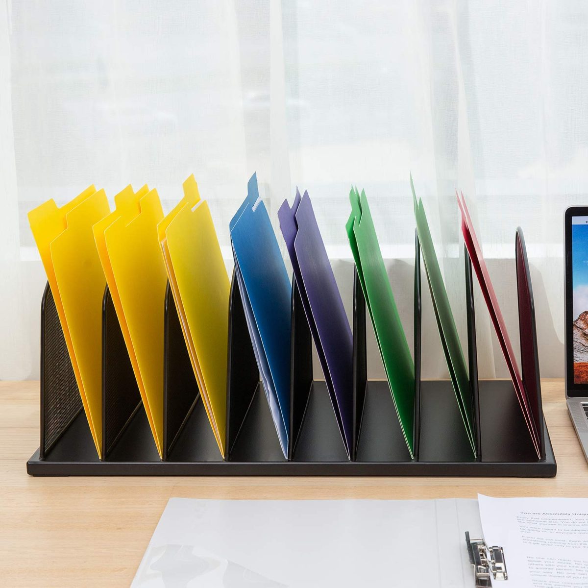 Amazonbasics 8-Tier File Organizer, Black Steel, 2-Pack (Renewed)