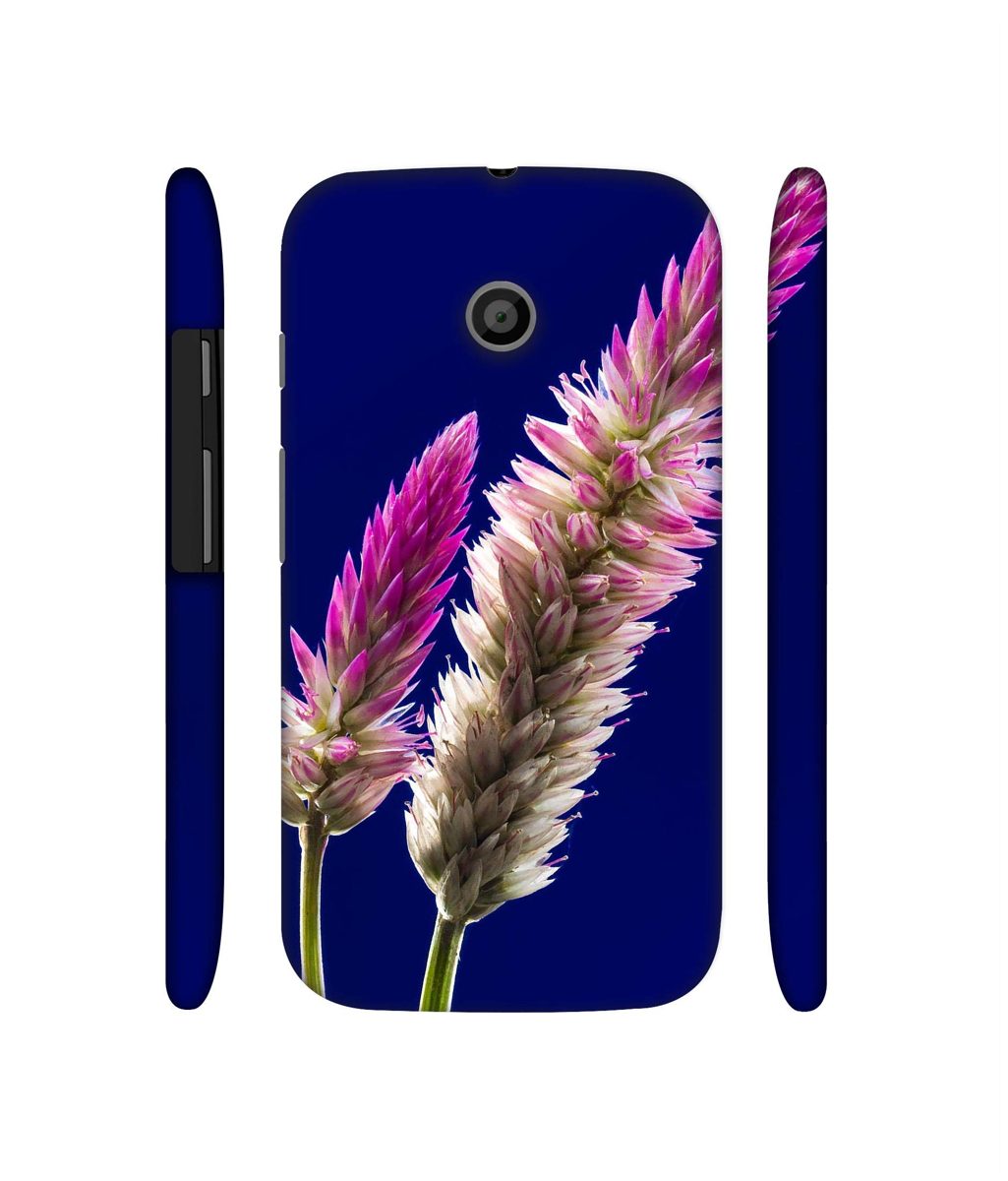 Amazon Brand - Solimo Designer Wheat Flower 3D Printed Hard Back Case Mobile Cover for Motorola Moto E 1st Generation