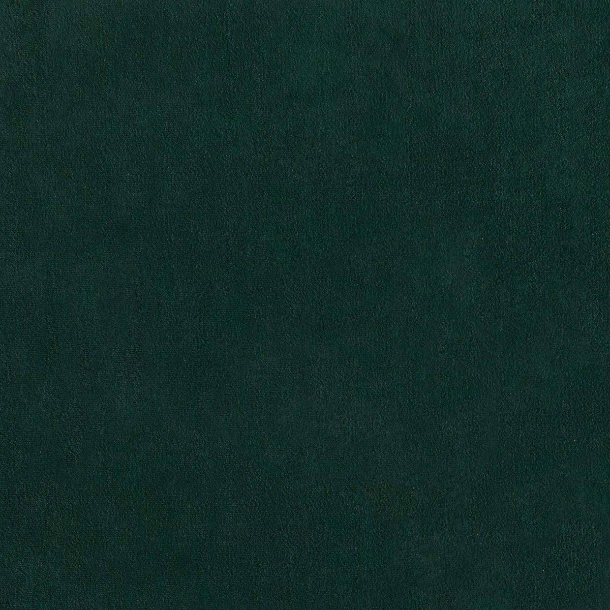 Amazon Brand – Rivet Gwyneth Mid-Century Velvet King Bed with Headboard, 92.1" L, Jade Green