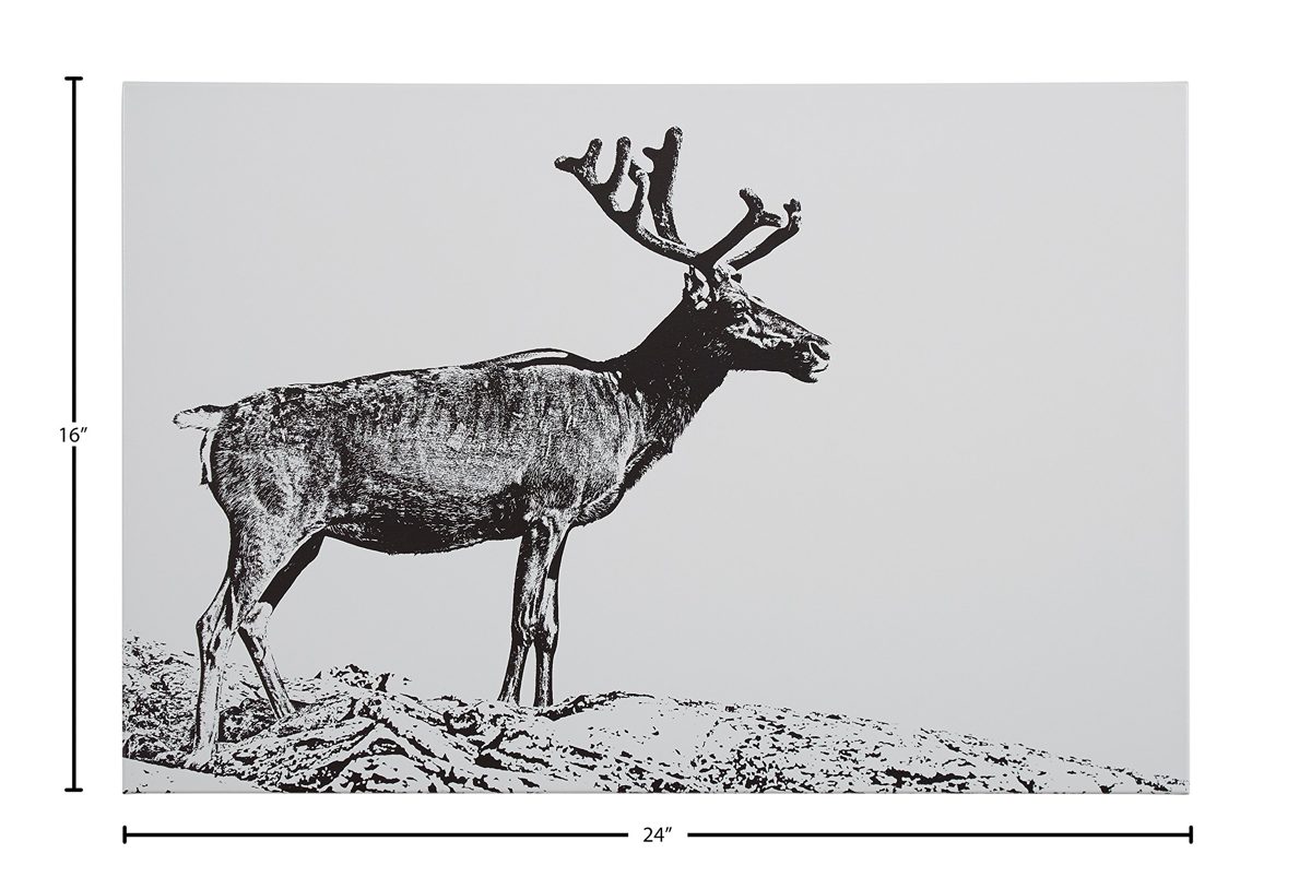 Amazon Brand – Rivet Black and White Canvas Wall Art Print of Male Deer, 24" x 16"