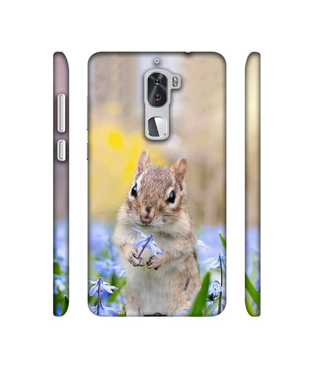 Amazon Brand - Solimo Designer Squirrel 3D Printed Hard Back Case Mobile Cover for Coolpad Cool1 Dual