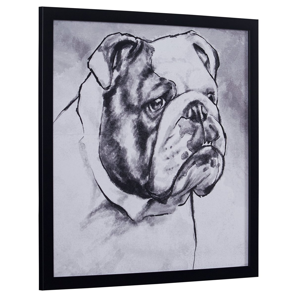 Amazon Brand – Stone & Beam Modern Black and White Print Wall Art of English Bulldog, Black Frame, 26" x 26"