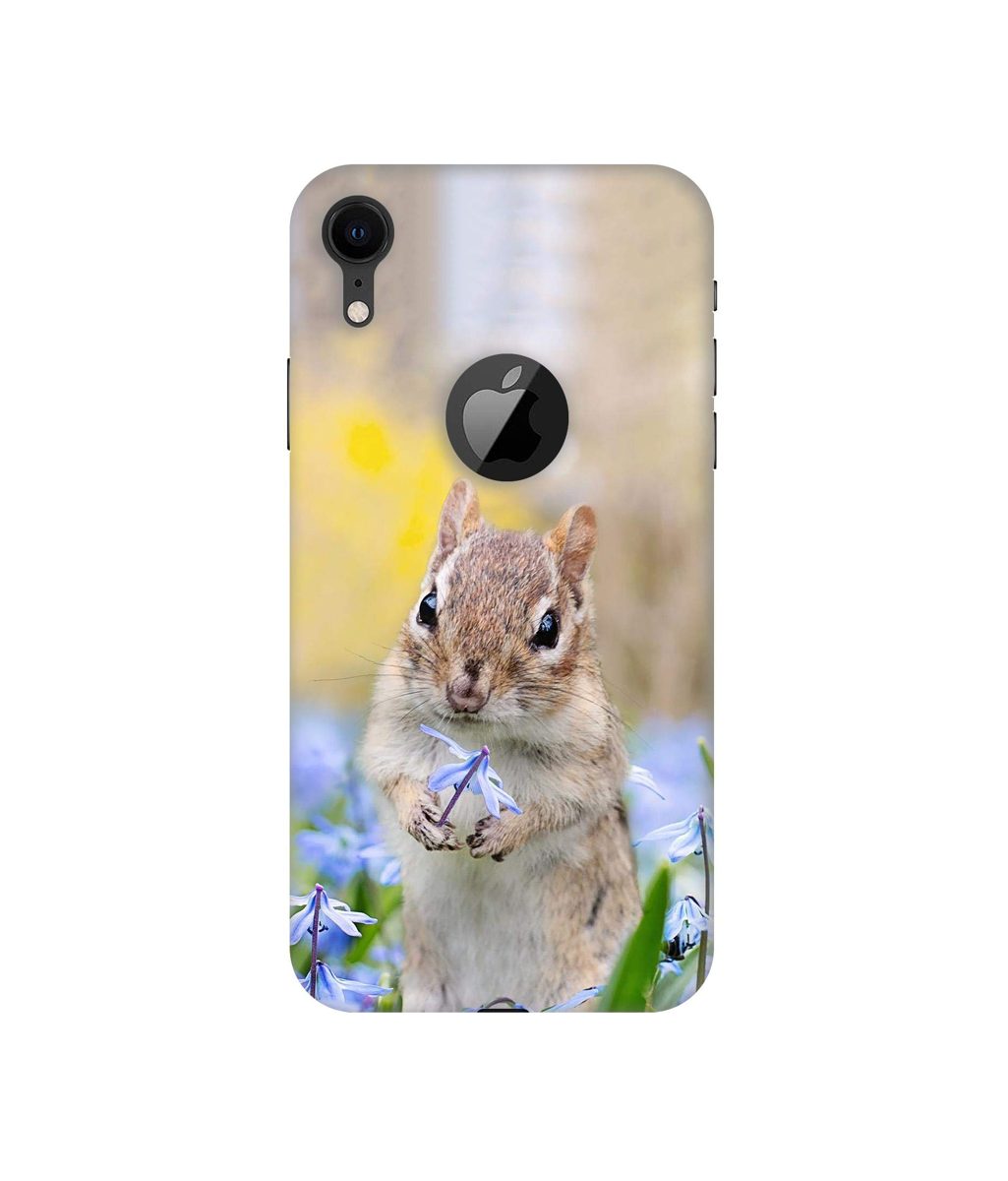 Amazon Brand - Solimo Designer Squirrel 3D Printed Hard Back Case Mobile Cover for Apple iPhone XR (Logo Cut)