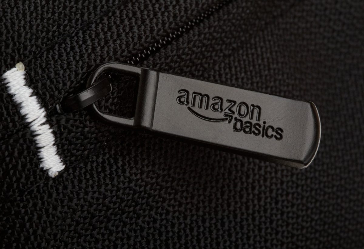 AmazonBasics Compact Camera Case