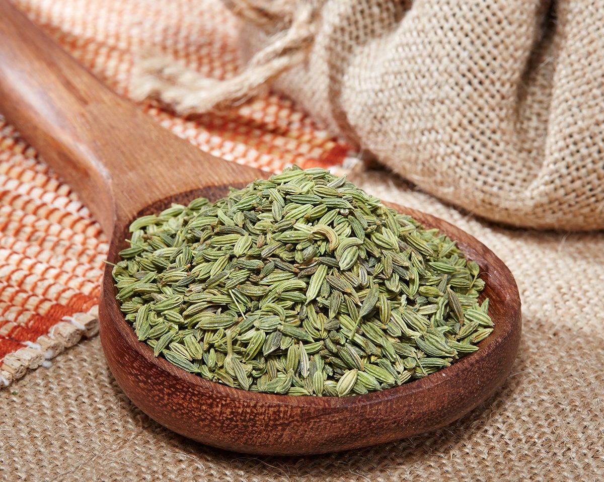 Amazon Brand - Vedaka Fennel Seeds (Saunf), 100g