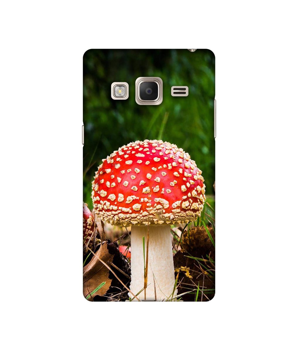 Amazon Brand - Solimo Designer Red Mushroom 3D Printed Hard Back Case Mobile Cover for Samsung Z3
