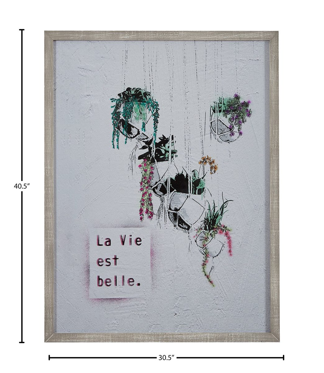 Amazon Brand – Rivet Life is Beautiful Hanging Plants Print Wall Art in Gray Wood Frame, 30.5" x 40.5"
