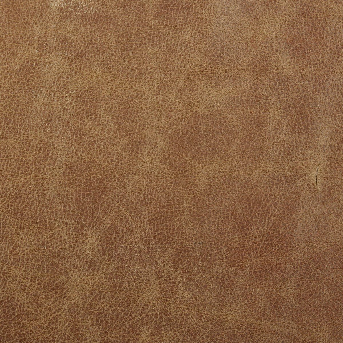 Amazon Brand – Rivet Brooker Down-Filled Mid-Century Sofa, 76"W, Top Grain Leather, Cognac
