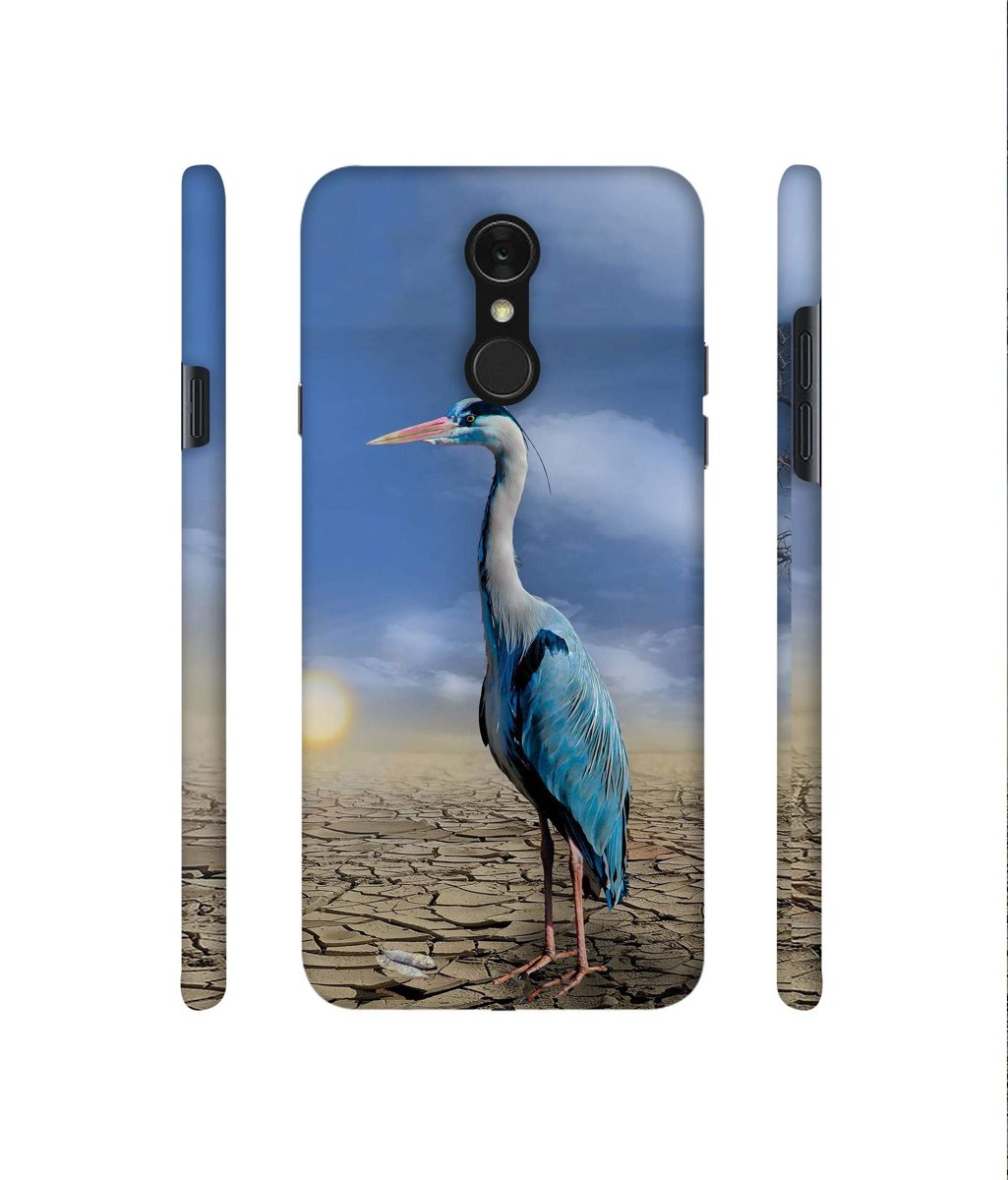 Amazon Brand - Solimo Designer Bagula 3D Printed Hard Back Case Mobile Cover for LG Q7