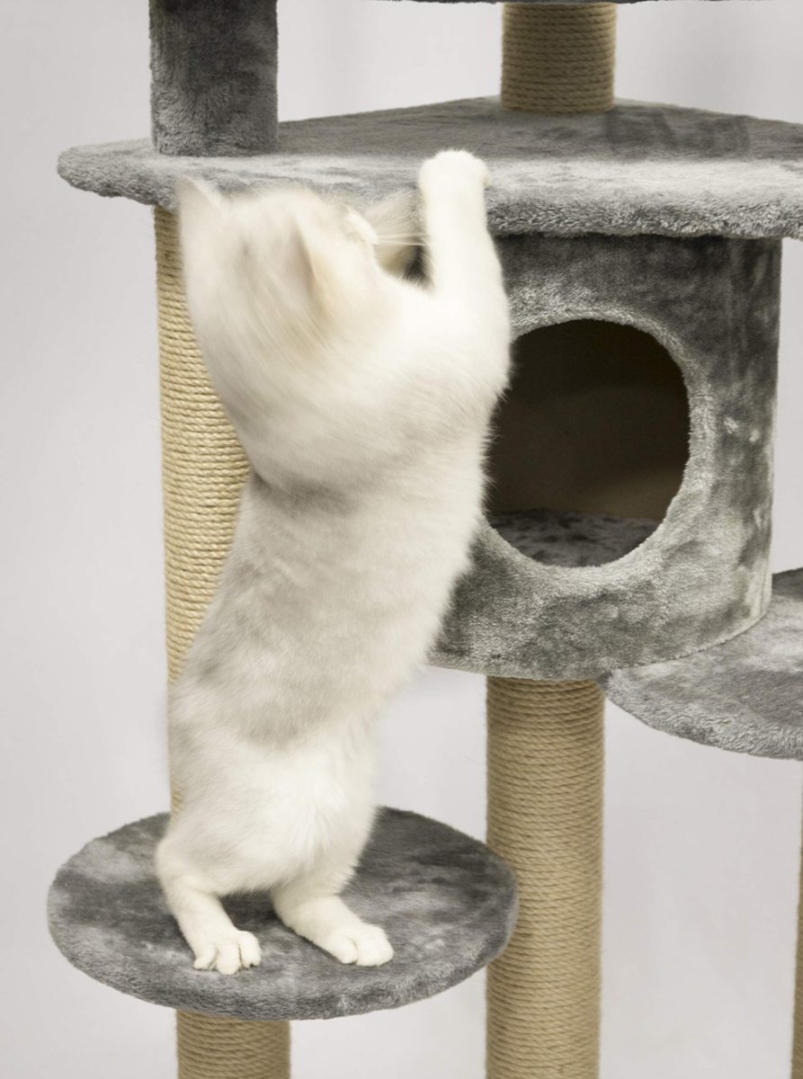 AmazonBasics Cat Tree with Condo - Medium, Gray (Renewed)