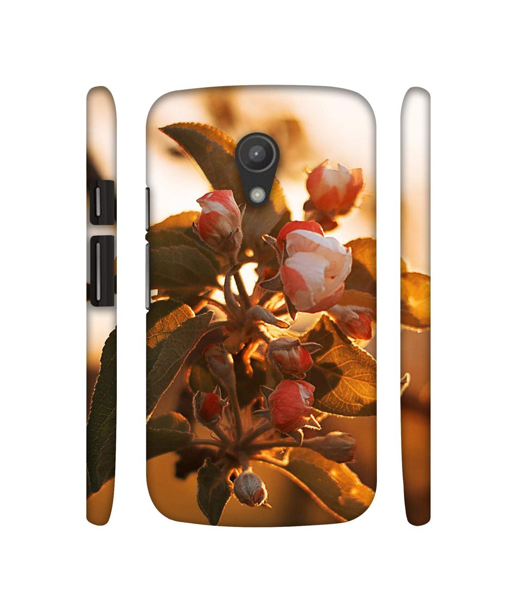 Amazon Brand - Solimo Designer Flowers 3D Printed Hard Back Case Mobile Cover for Motorola Moto G 2nd Generation