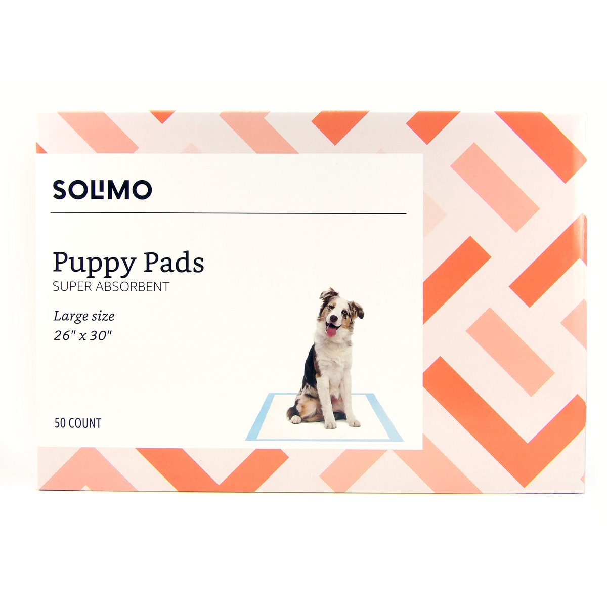 Amazon Brand - Solimo Super Absorbent Puppy Pads, Unscented, Large, 50 Count