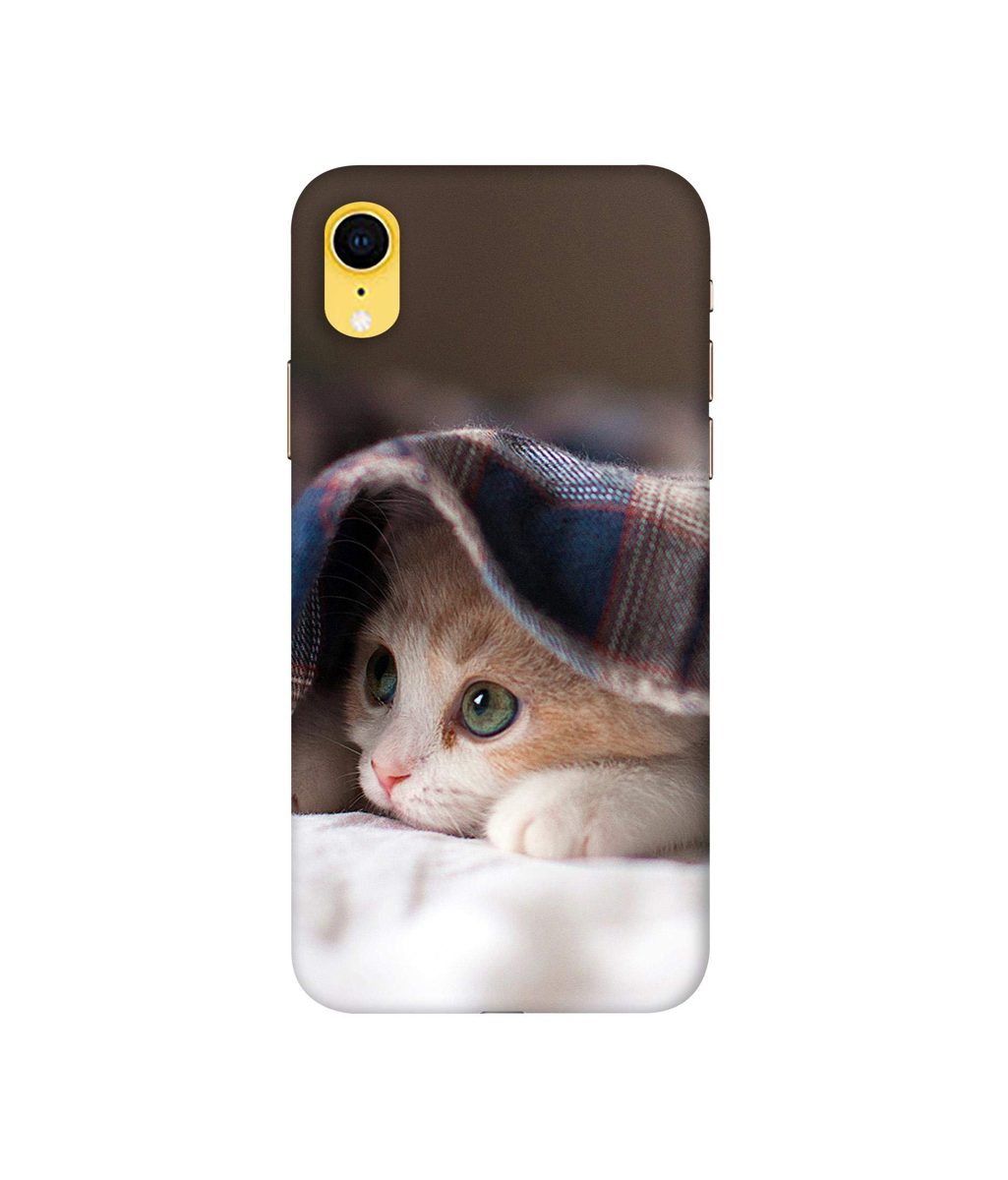 Amazon Brand - Solimo Designer Sleepy Kitten 3D Printed Hard Back Case Mobile Cover for Apple iPhone XR