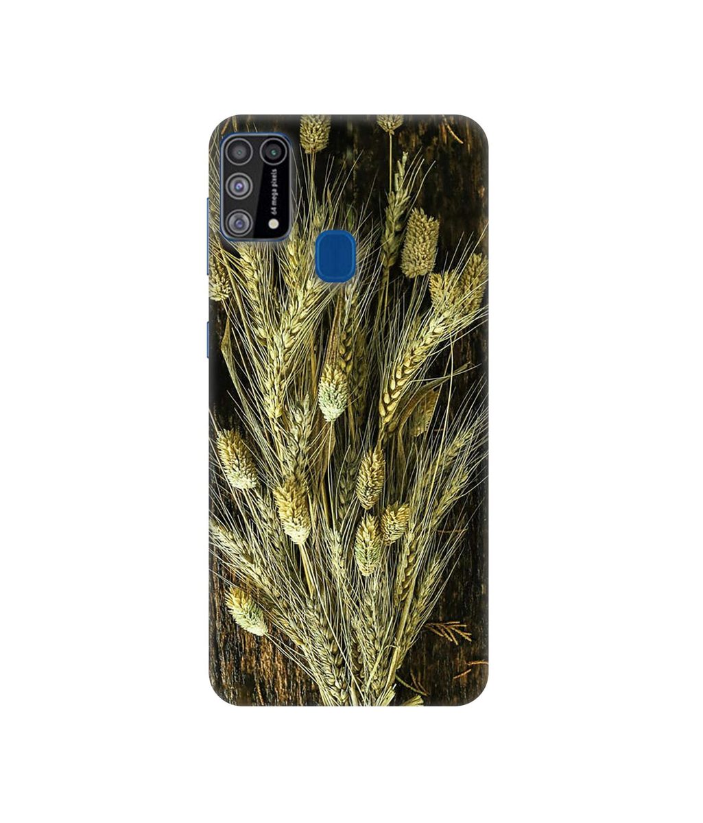 Amazon Brand - Solimo Designer Wheat Plants 3D Printed Hard Back Case Mobile Cover for Samsung Galaxy M31