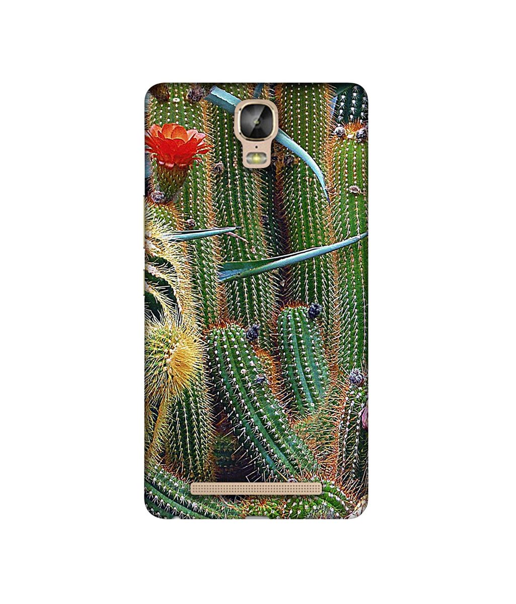 Amazon Brand - Solimo Designer Cactus 3D Printed Hard Back Case Mobile Cover for Gionee Marathon M5 Plus