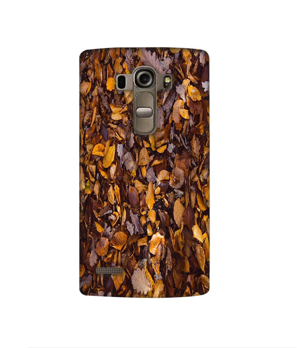 Amazon Brand - Solimo Designer Dry Leafs 3D Printed Hard Back Case Mobile Cover for LG G4 Stylus
