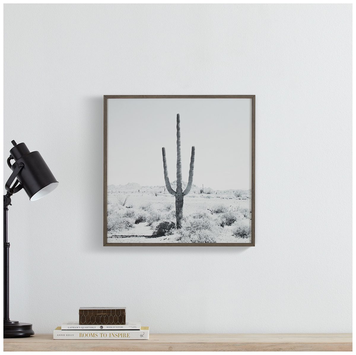 Amazon Brand – Stone & Beam Modern Black and White Desert Cactus Photo on Wood, Grey Frame, 20" x 20"