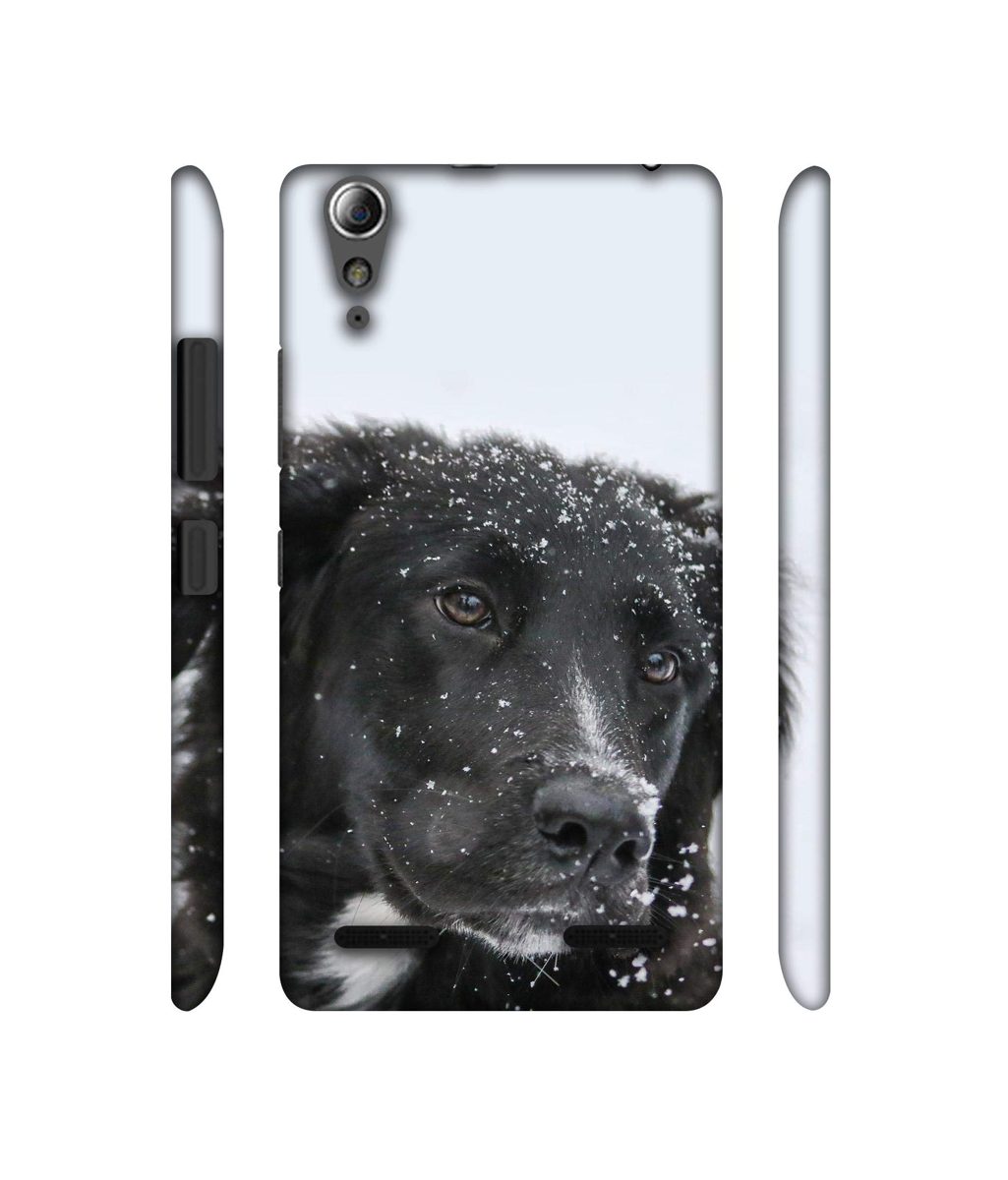 Amazon Brand - Solimo Designer Labrador Dog 3D Printed Hard Back Case Mobile Cover for Lenovo A6000 / A6000 Plus