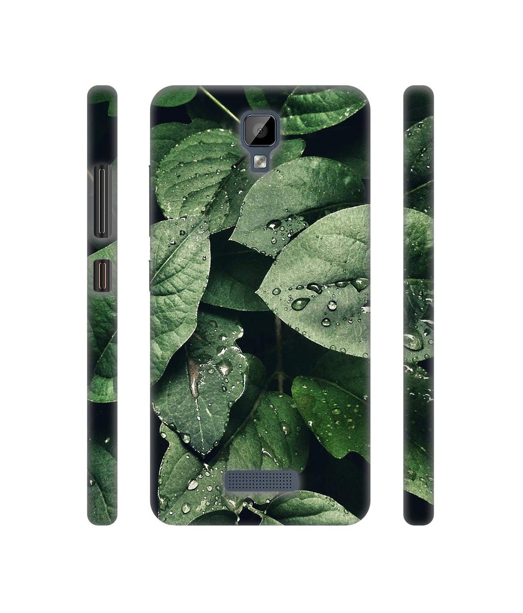 Amazon Brand - Solimo Designer Leafs 3D Printed Hard Back Case Mobile Cover for Gionee P7 Max