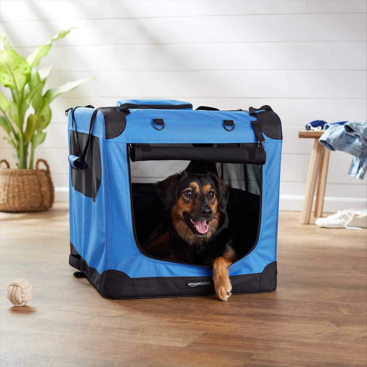 AmazonBasics Premium Folding Portable Soft Pet Dog Crate Carrier Kennel - 30 x 21 x 21 Inches, Blue