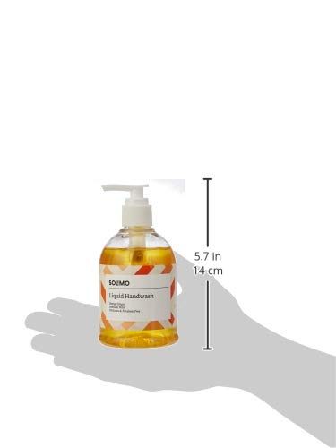 Amazon Brand - Solimo Handwash Liquid, Orange Ginger - 250 ml (Pack of 2)