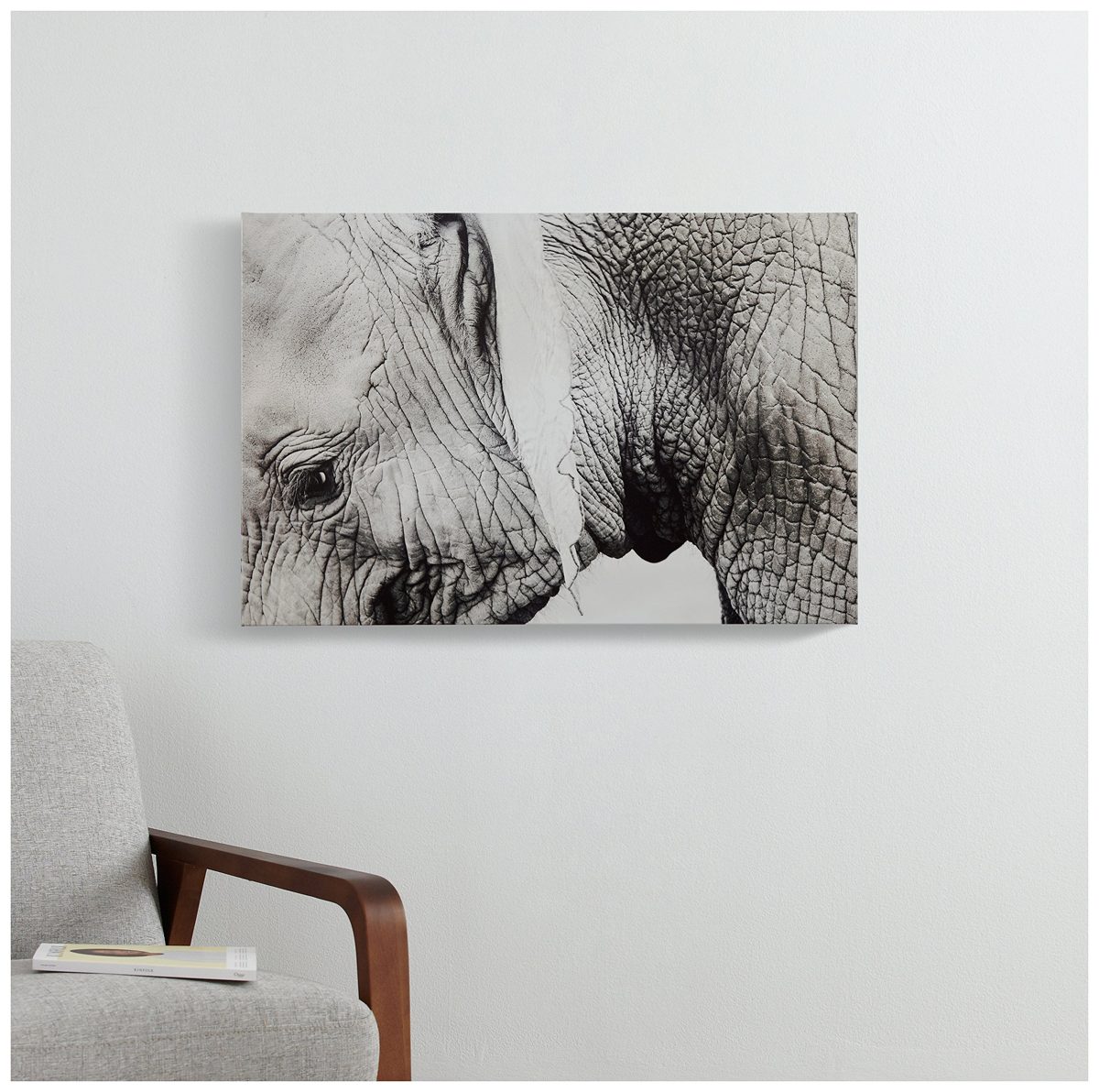 Amazon Brand – Rivet Up Close Black and White Elephant Photo Canvas Print Wall Art Decor, 36" x 24"