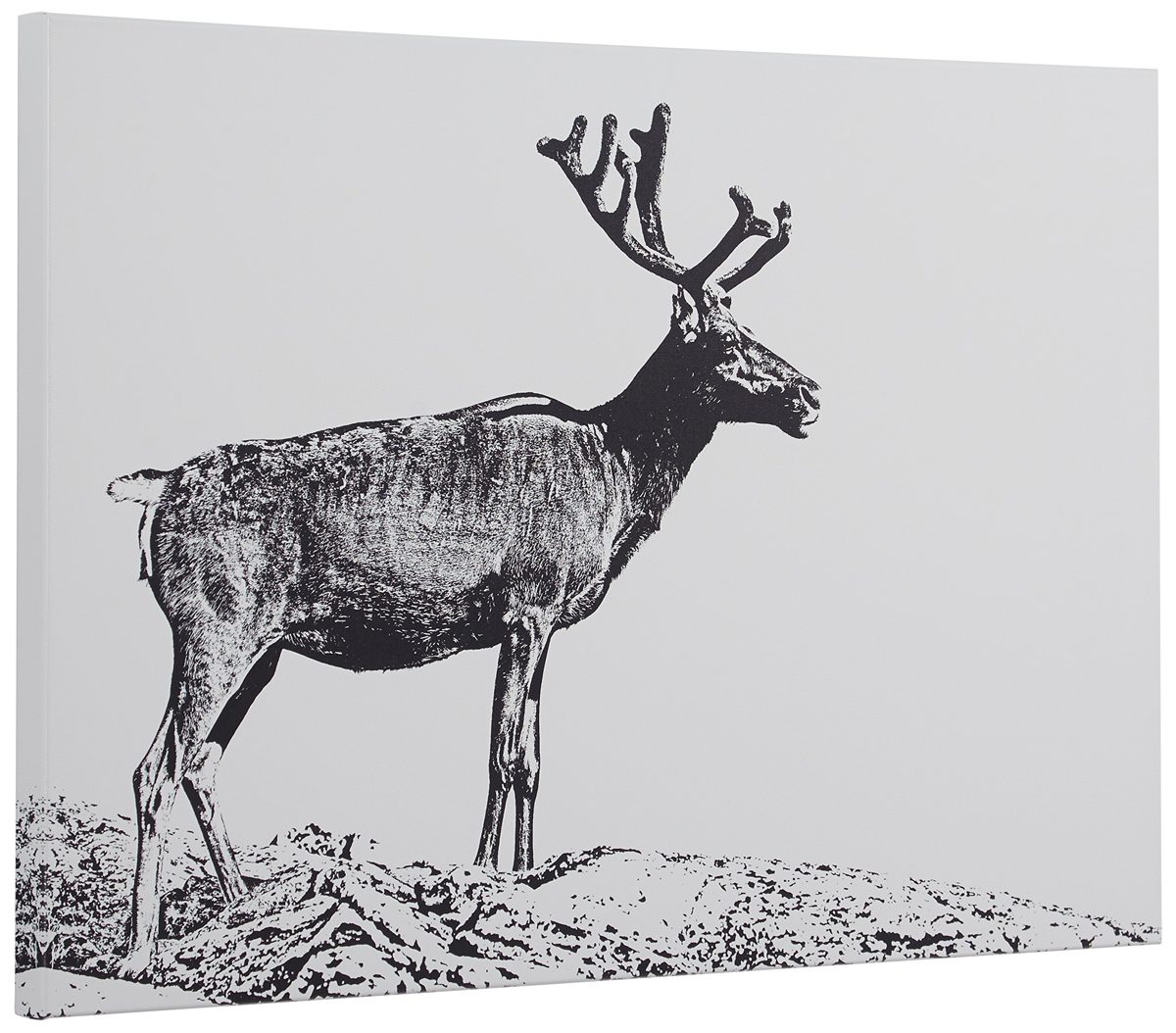 Amazon Brand – Rivet Black and White Canvas Wall Art Print of Male Deer, 24" x 16"