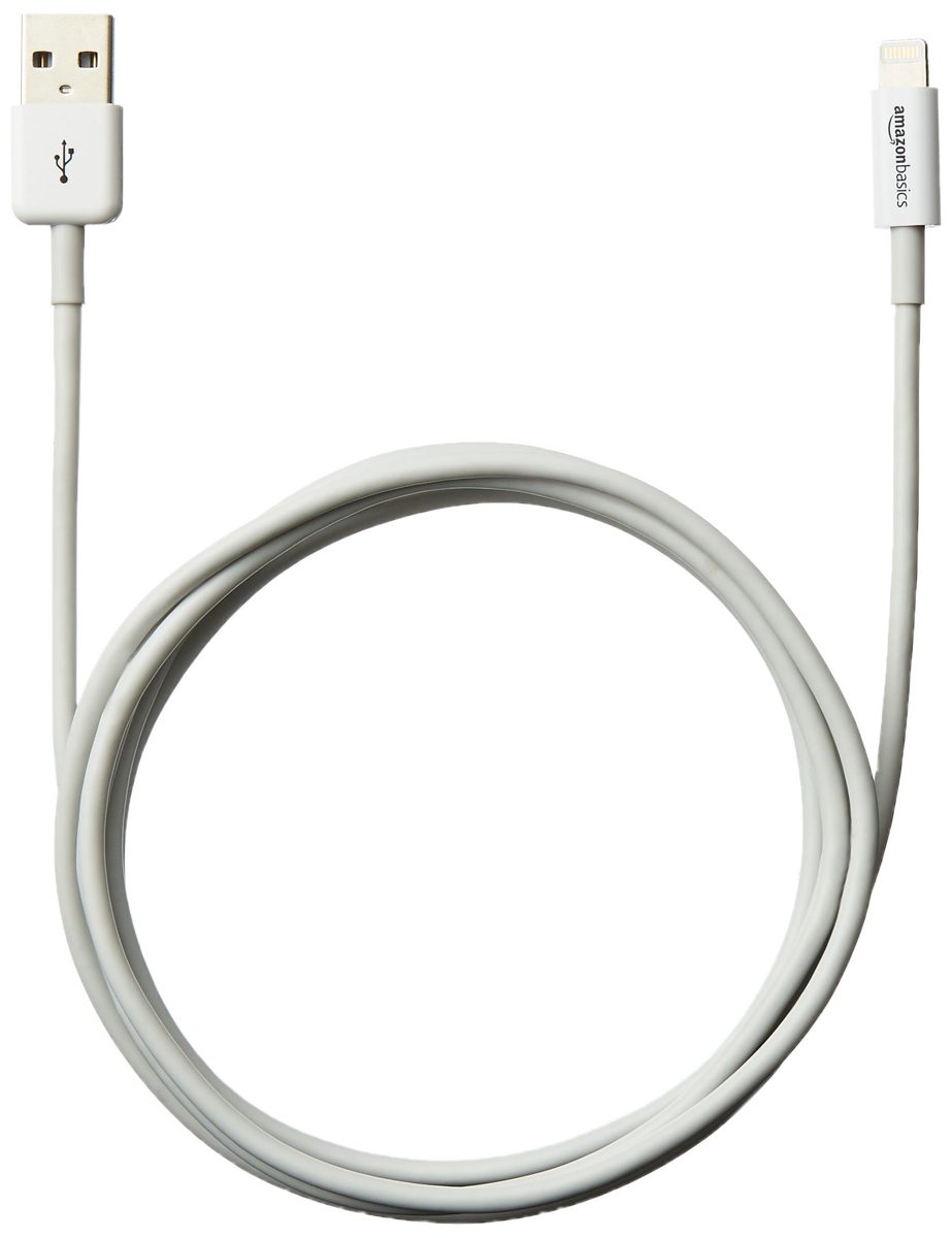 Otterbox Defender Series Case for iPhone 6 and AmazonBasics Lightning Cable (6-Feet) Pack