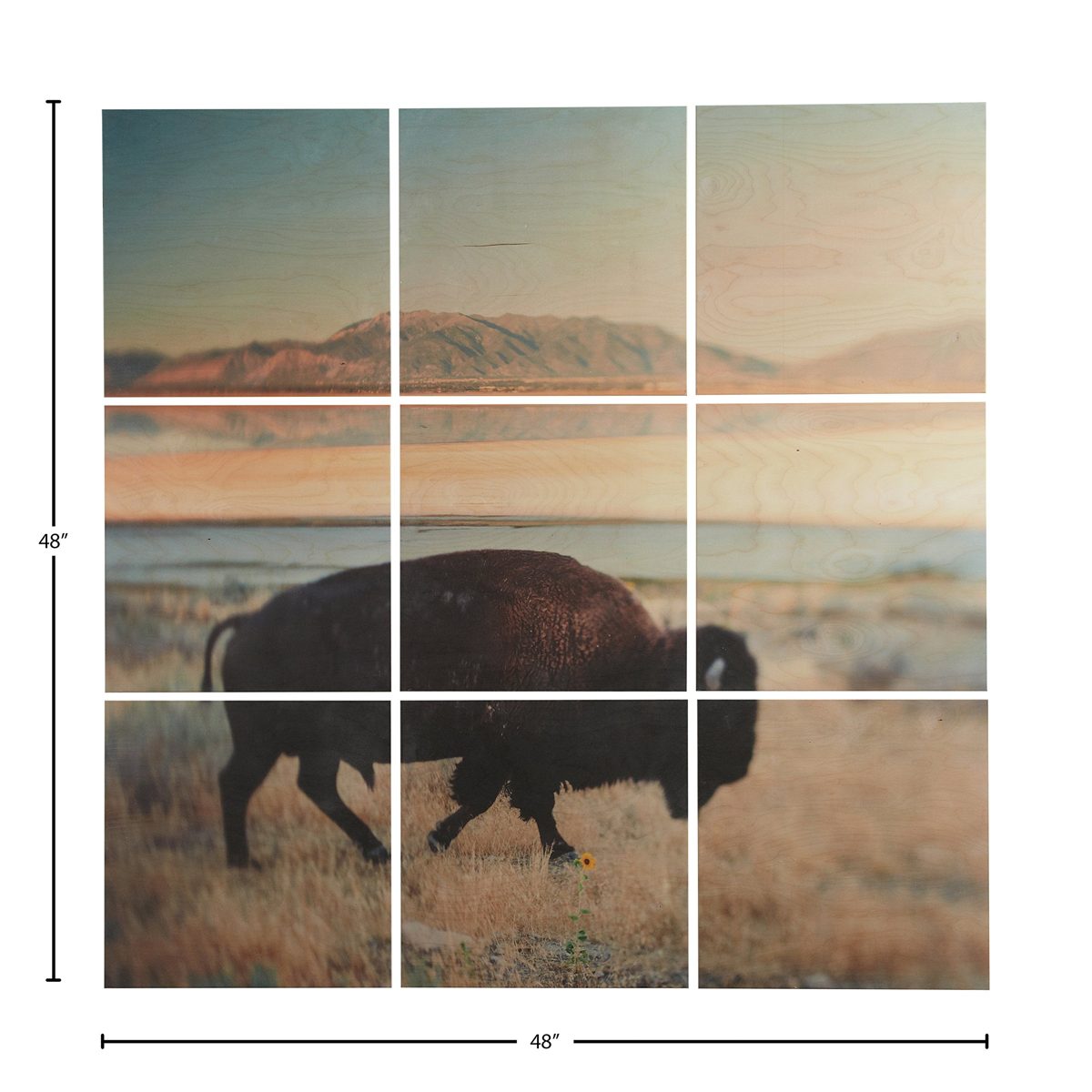 Amazon Brand – Rivet 9-Piece Southwest Bison Desert Mural Wall Art on Wood, 48" x 48"
